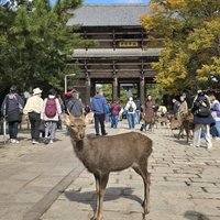 Todai-ji