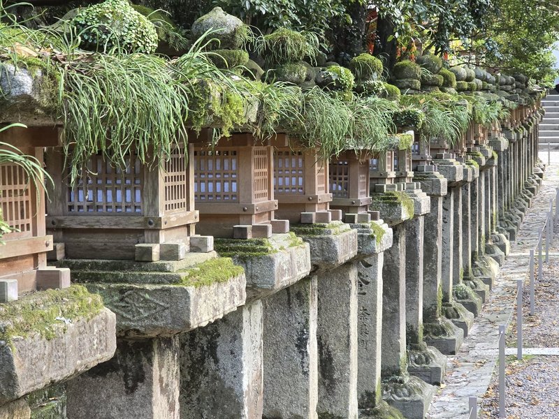 Lanterns at Kasuga-taisha shrine