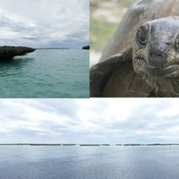 Aldabra Atoll by Kbecq
