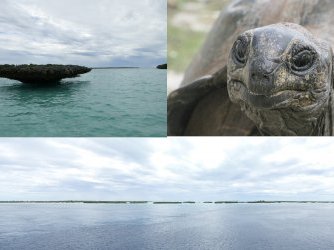 Aldabra Atoll by Kbecq