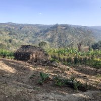 Traditional agroforestry, Bolocho Sacred Forest