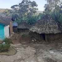 Bolocho village, Bolocho Sacred Forest