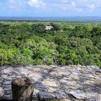 Calakmul by Frédéric M