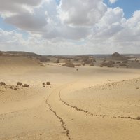 Wadi Al-Hitan