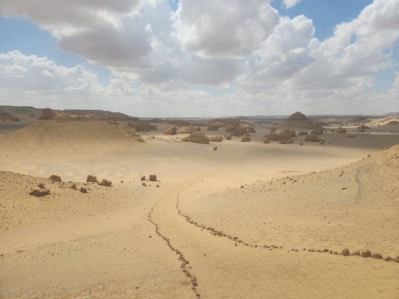 Wadi Al-Hitan