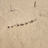 Gebel Qatrani Area, Lake Qaroun