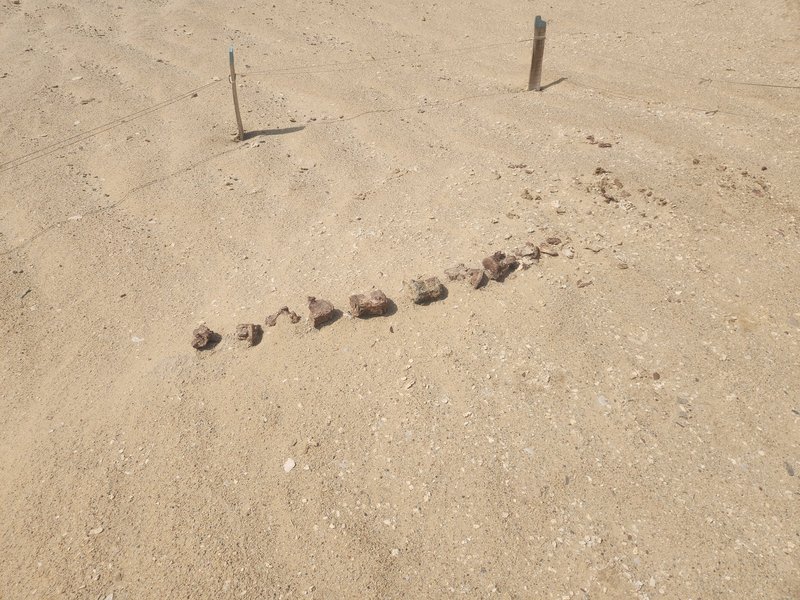 Gebel Qatrani Area, Lake Qaroun