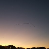 Pantanal Sunset