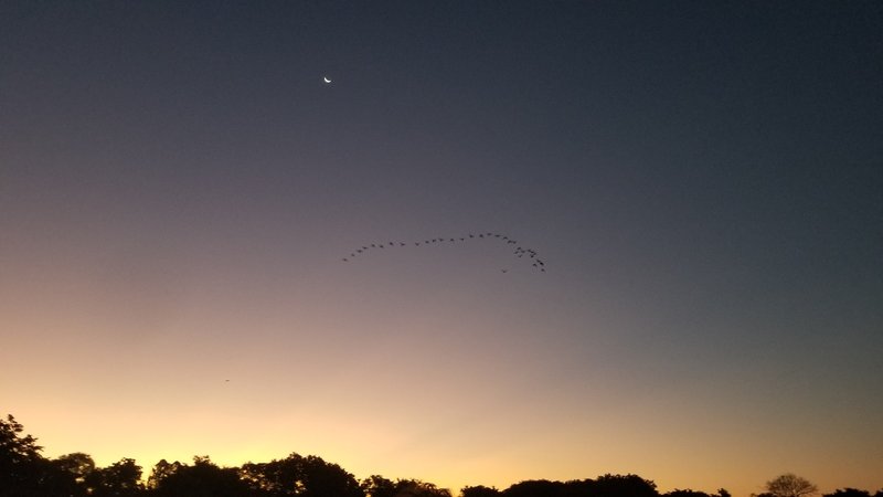Pantanal Sunset