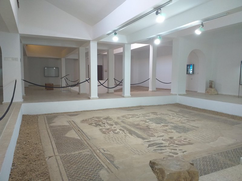 View of one of the two rooms in the museum