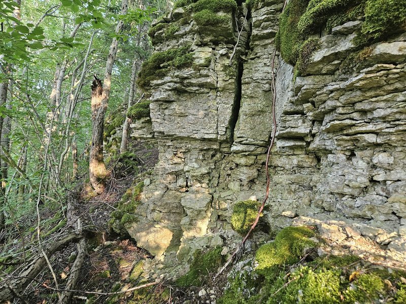 Muuksi Klint