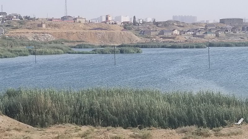 Binegadi Lake