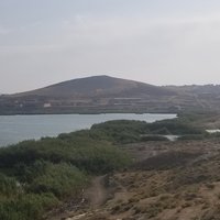 Binegadi Fauna and Flora Deposit