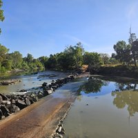 Kakadu NP: Cahills Crossing