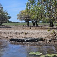 Kakadu NP: Yellow Water Cruise