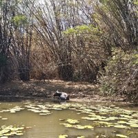 Kakadu NP