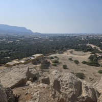 Dhayah: Palm Gardens