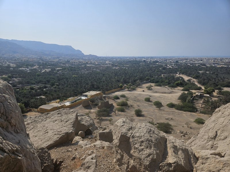 Dhayah: Palm Gardens