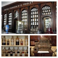 Triolet French Drugstore by Els Slots