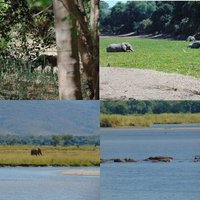 Mana Pools by Wojciech Fedoruk