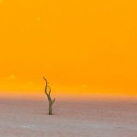 Namib Sand Sea by Carlo Sarion