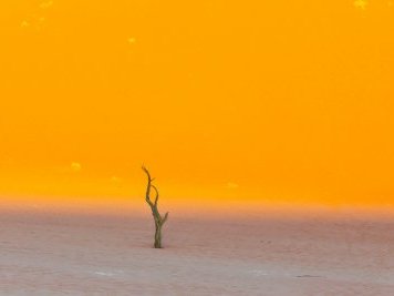 Namib Sand Sea by Carlo Sarion