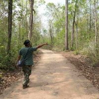 Thungyai-Huai Kha Khaeng by Timonator