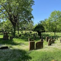 ShUM Sites by MoPython