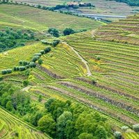 Alto Douro by Frederik Dawson