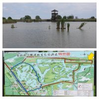 Migratory Bird Sanctuaries China by Els Slots