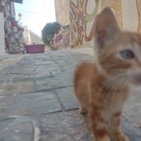 Medina of Tétouan by CugelVance