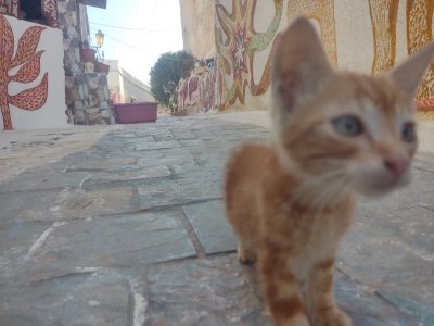 Medina of Tétouan by CugelVance