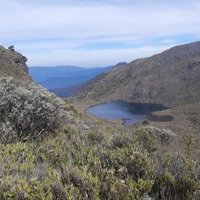 Talamanca Range-La Amistad Reserves by Patrik