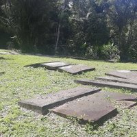 Jodensavanne by Patrik