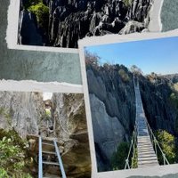 Andrefana Dry Forests by Randi Thomsen