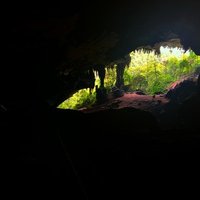 Niah Caves by Frederik Dawson