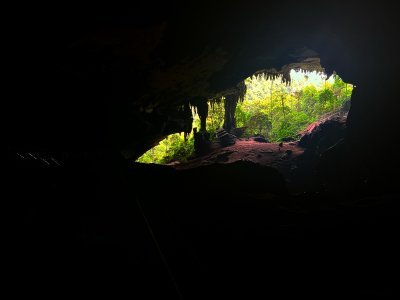 Niah Caves by Frederik Dawson