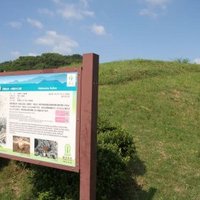 Mozu-Furuichi Kofun by Philipp Peterer