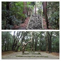 Okinoshima Island by Els Slots