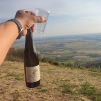 Tokaji Wine Region by CugelVance