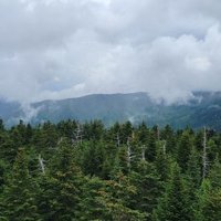 Great Smoky Mountains by Jgriffindor6