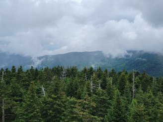 Great Smoky Mountains by Jgriffindor6