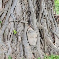 Ayutthaya by Jgriffindor6