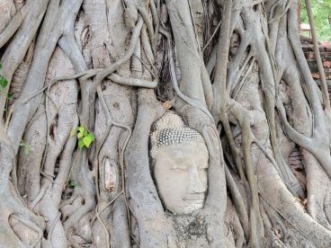 Ayutthaya by Jgriffindor6