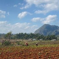 Viñales Valley by triath