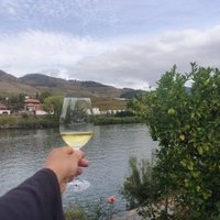 Alto Douro by CugelVance