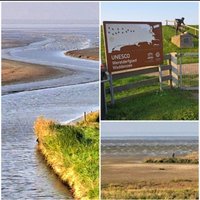 Wadden Sea by Bernard Joseph Esposo Guerrero