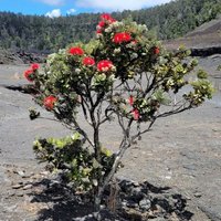 Hawaii Volcanoes by Jgriffindor6