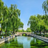 Grand Canal by Tony H.