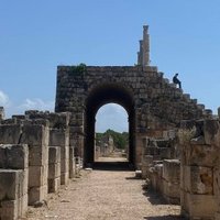 Tyre by triath